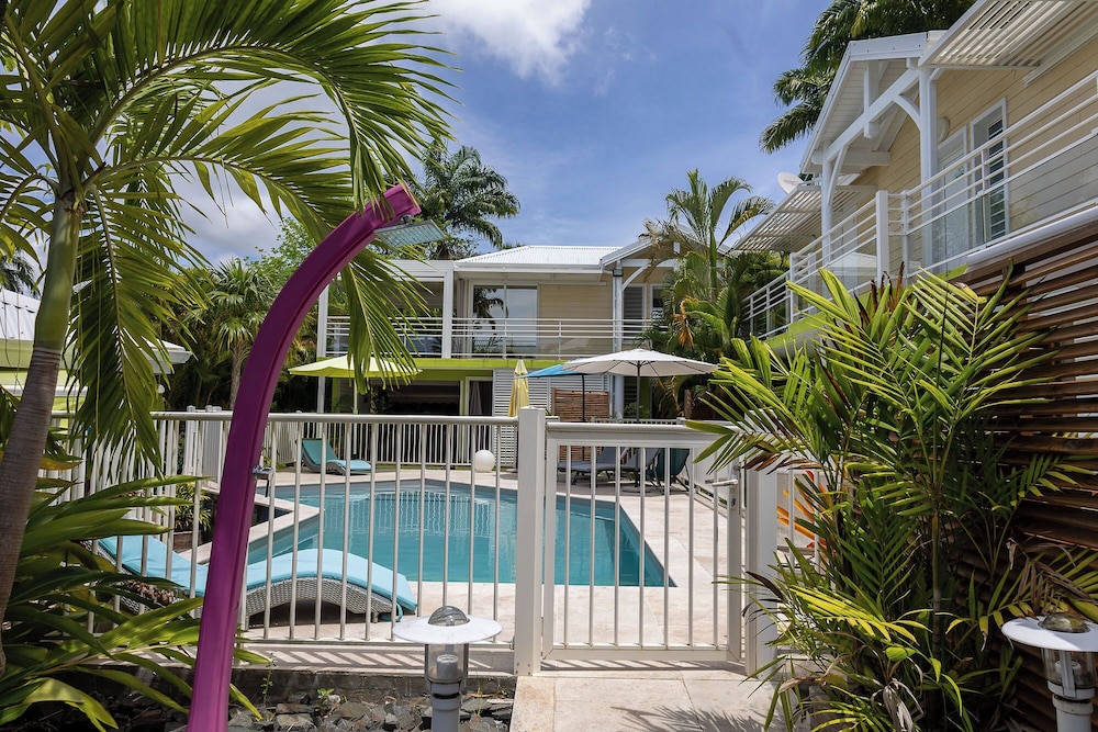 Majesty Palm 40/46