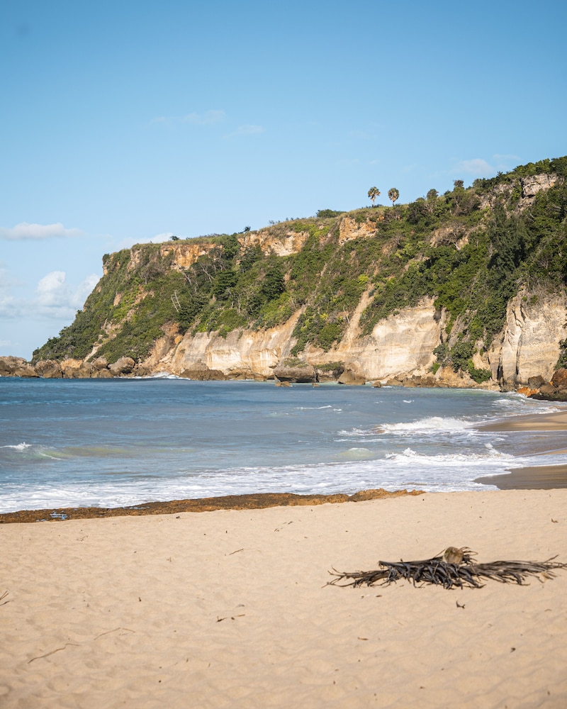 Punta Borinquen Resort 23/33