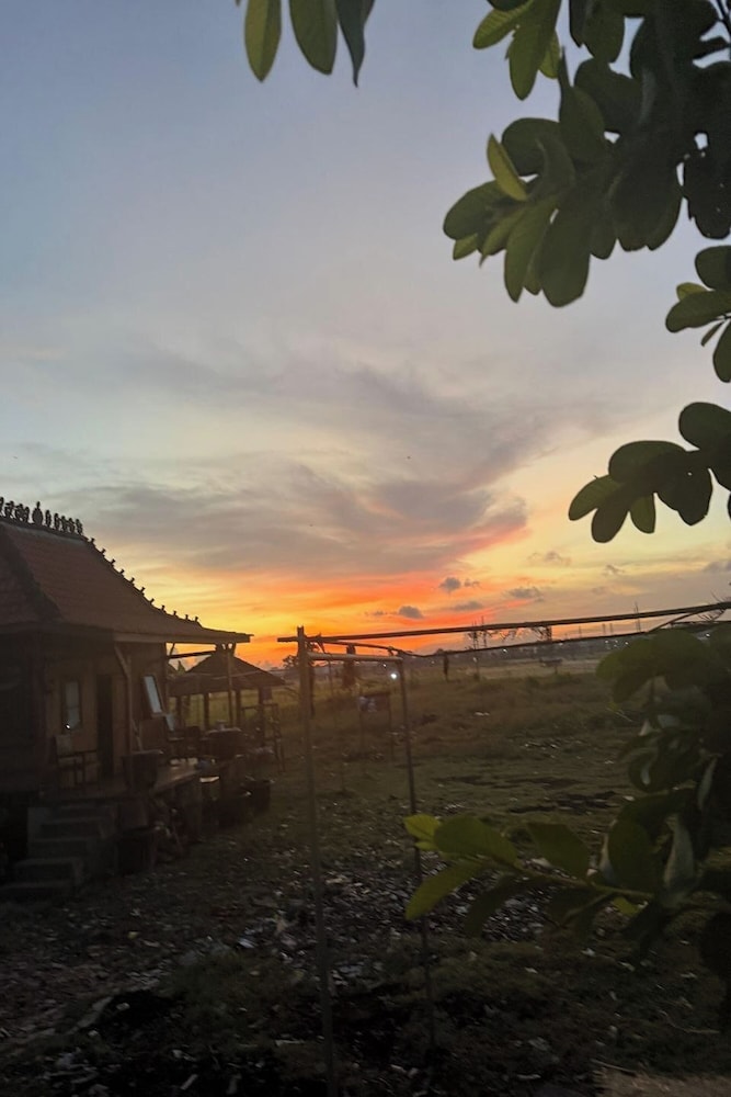 Bali Eco Living Dormitory 45/49