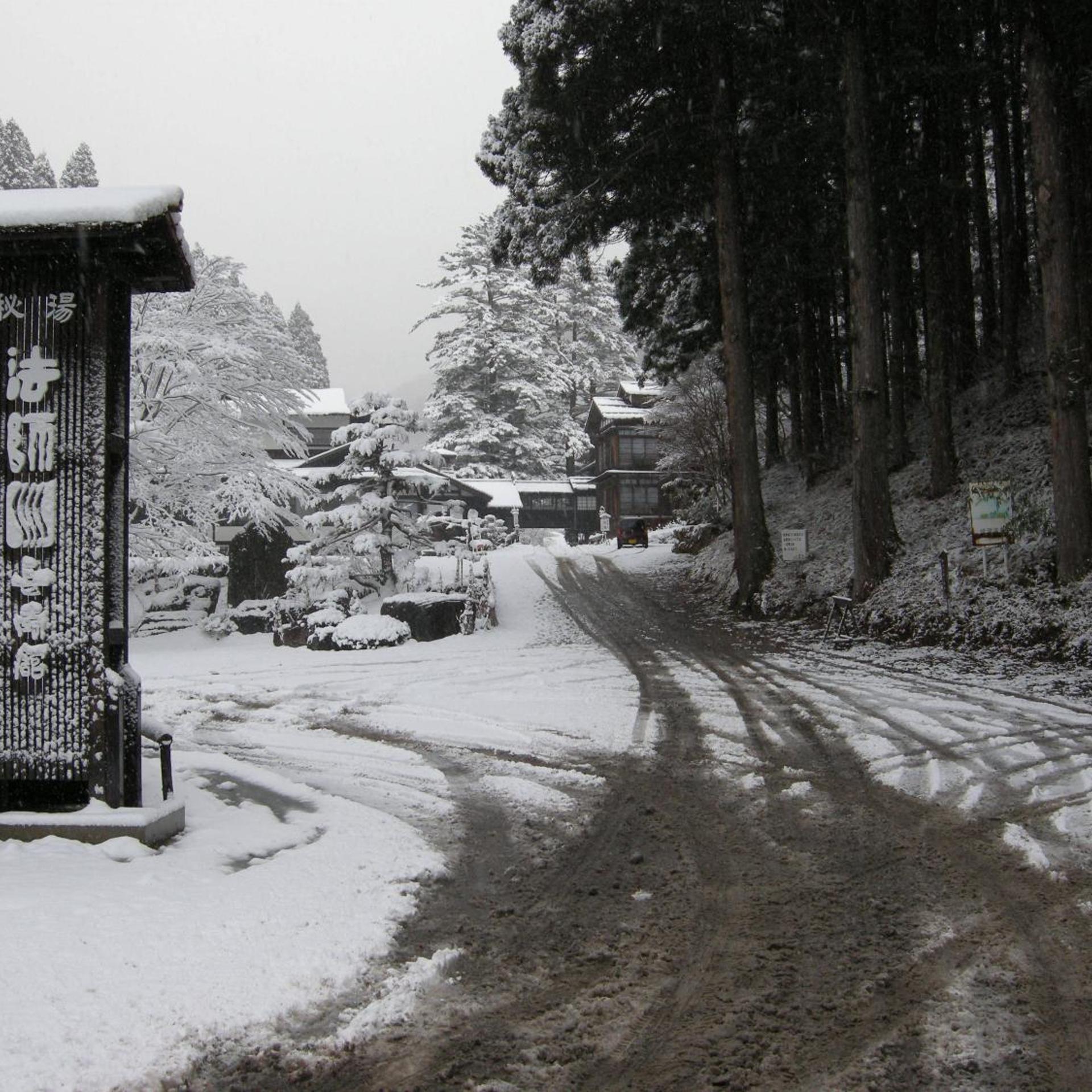 Hoshi Onsen Chojukan 43/50