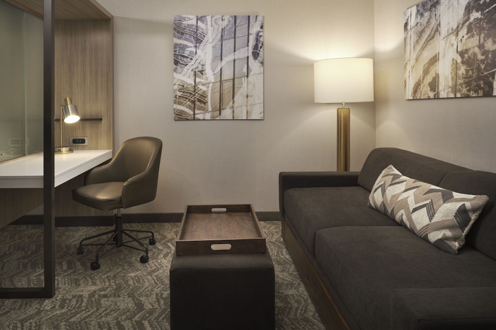 SpringHill Suites by Marriott Las Vegas Airport 14/29
