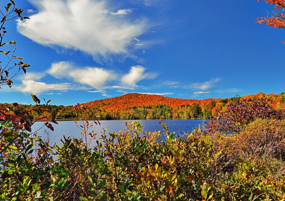 Saranac Lake 41/46