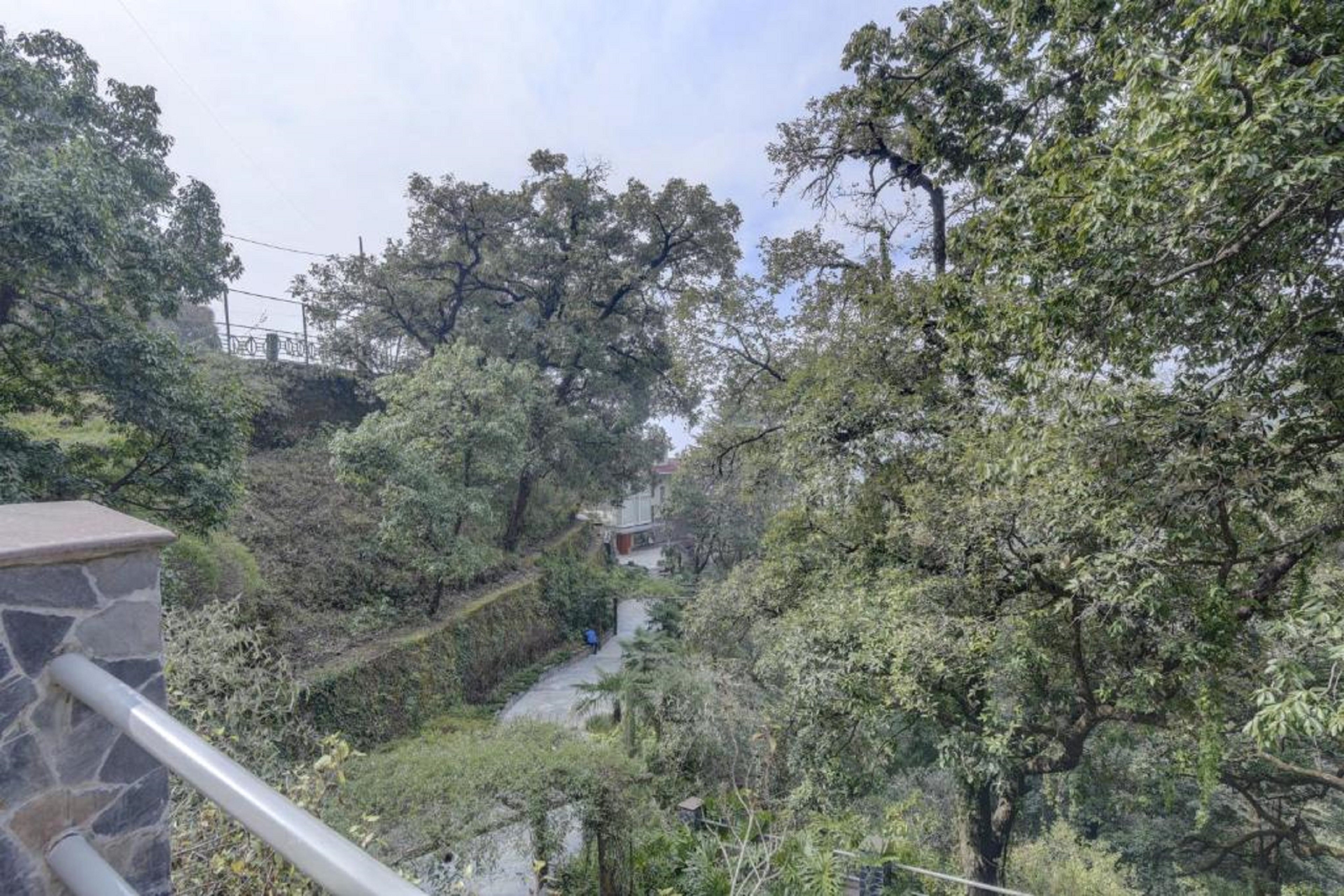 Yog Wellness Resort & Spa By Amritara 36/44