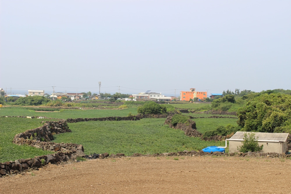 Jeju Feel House 29/50