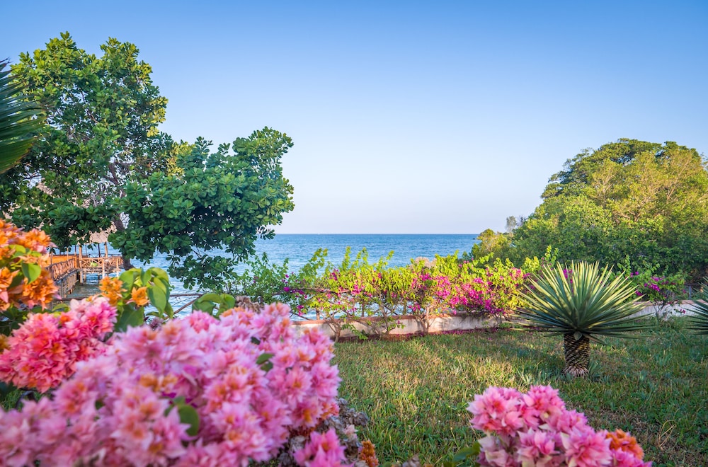 Azao Resort & Spa, Zanzibar 38/50
