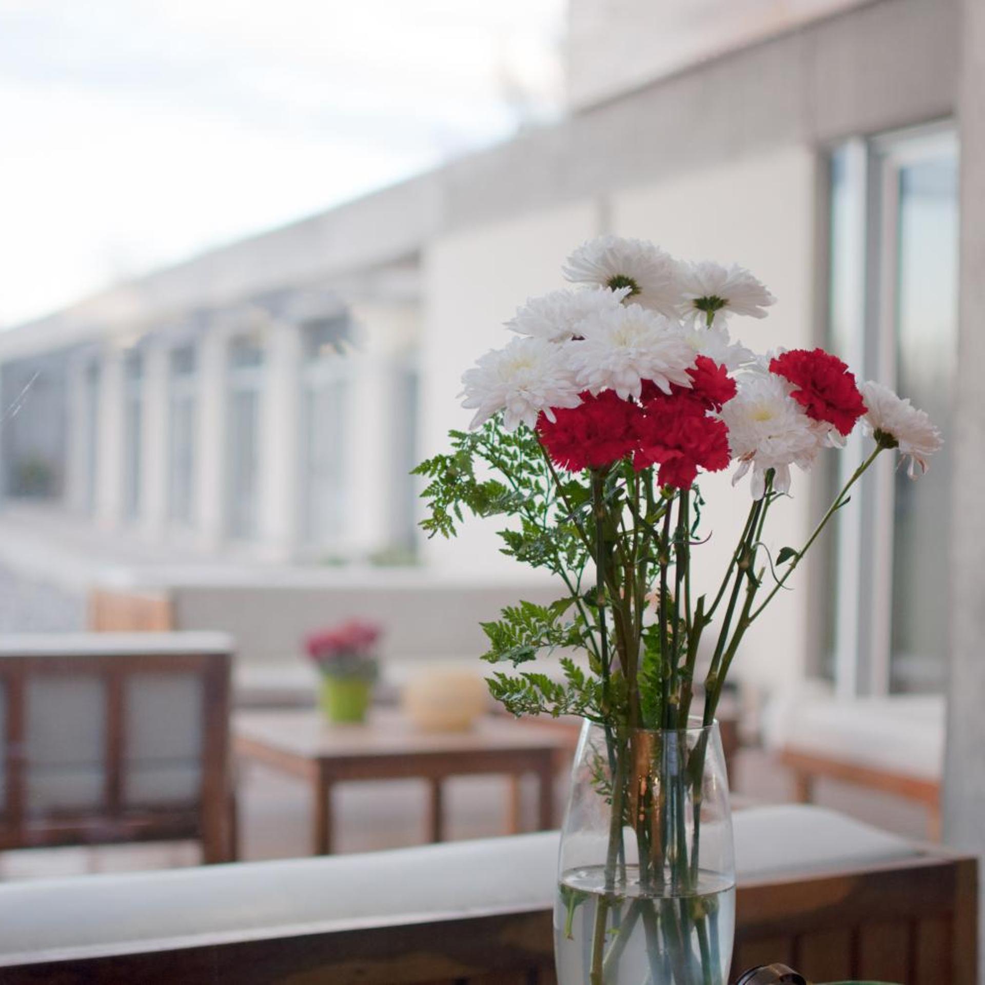 HERRADURA HOTEL SUITES 34/50