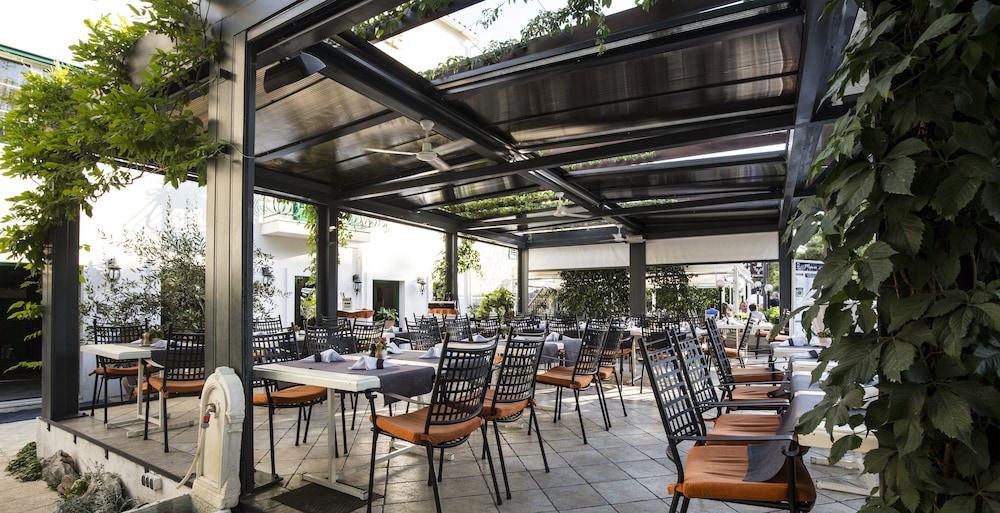 Hotel Pasike 55/77