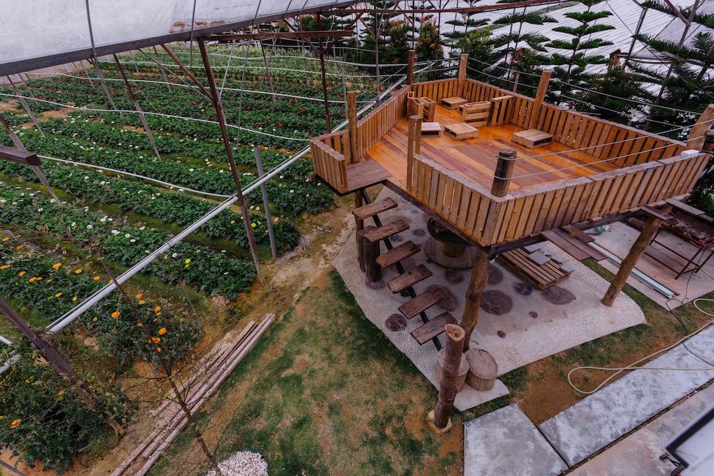 Westwood Highland - Hostel 12/21
