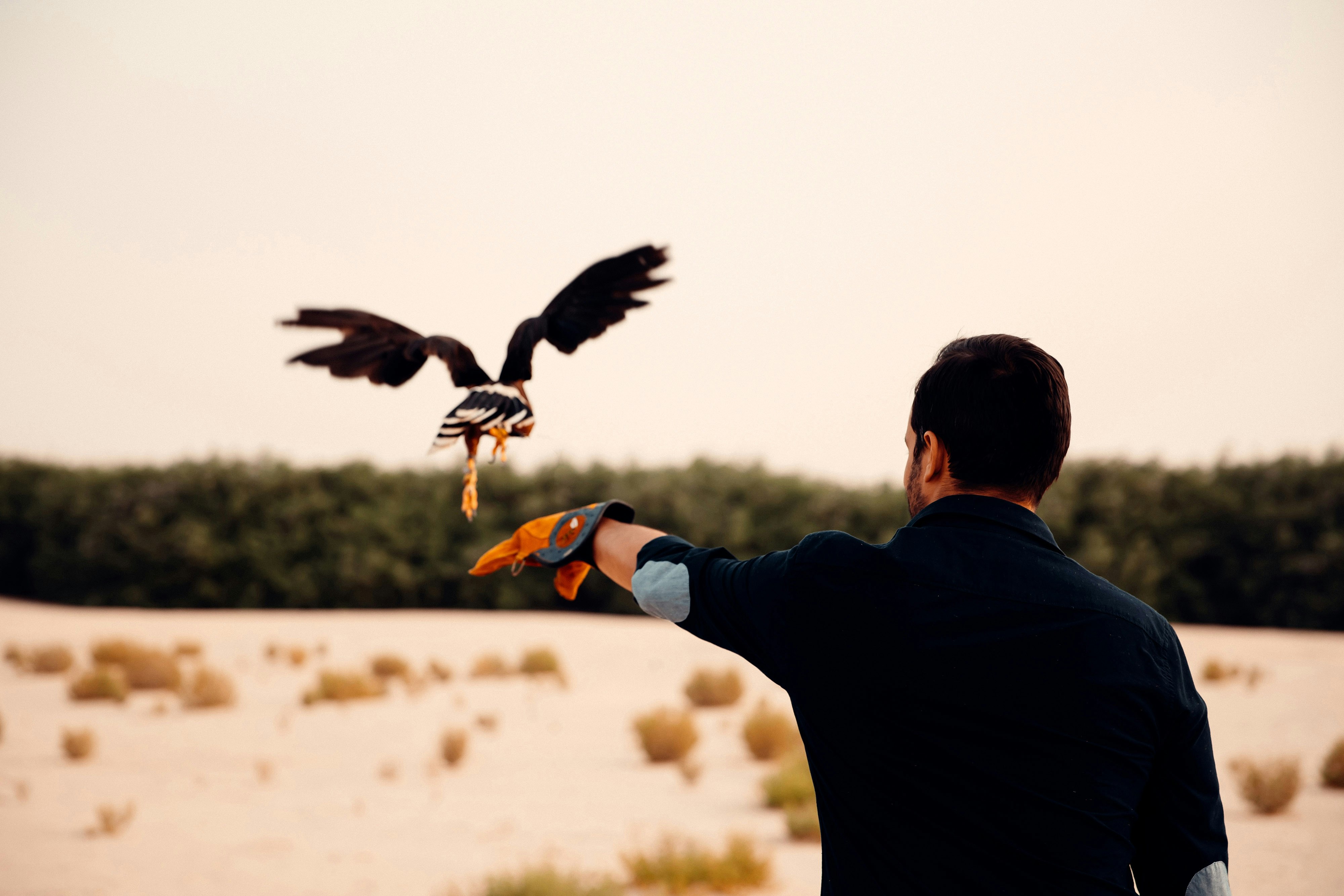 Al Wathba A Luxury Collection Desert Resort And Spa Abu Dhabi 57/58