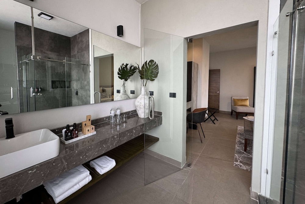 Esplendor by Wyndham San Luis Potosi Monarca 50/54