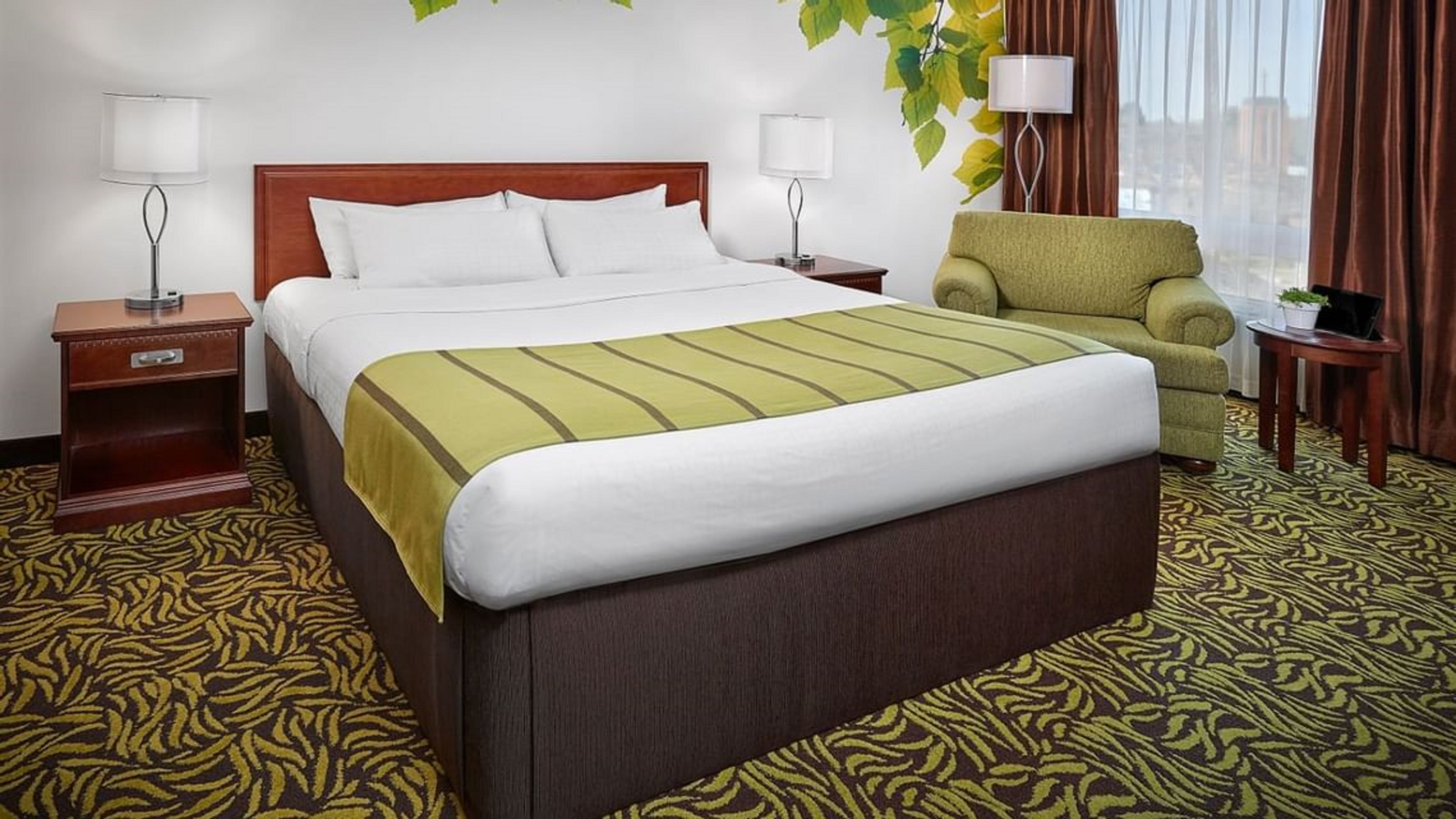 Room, King Bed