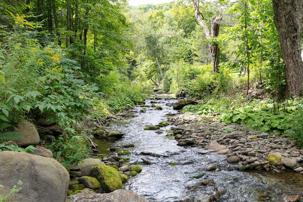 Urban Cowboy Lodge - Catskills 36/60