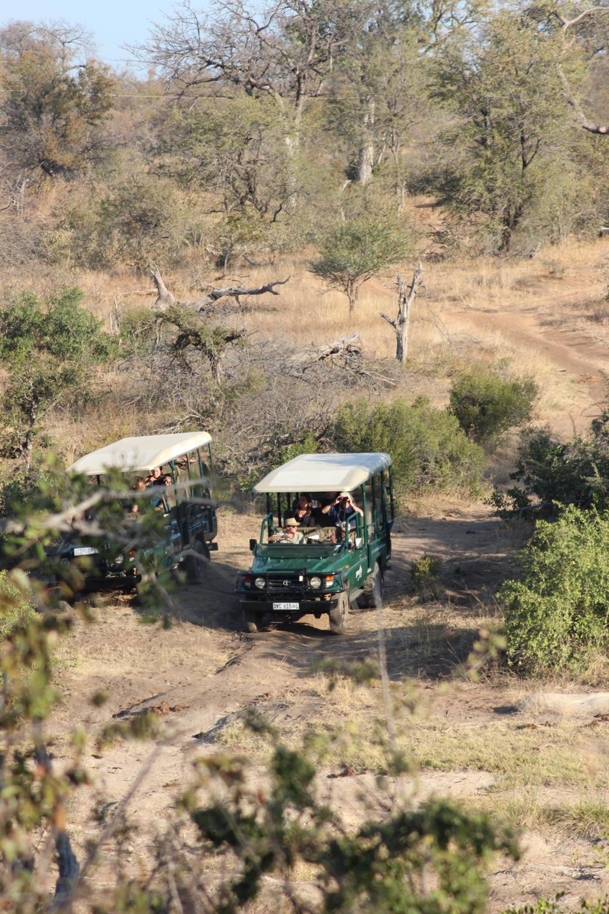 Greenfire Game Lodge 45/50