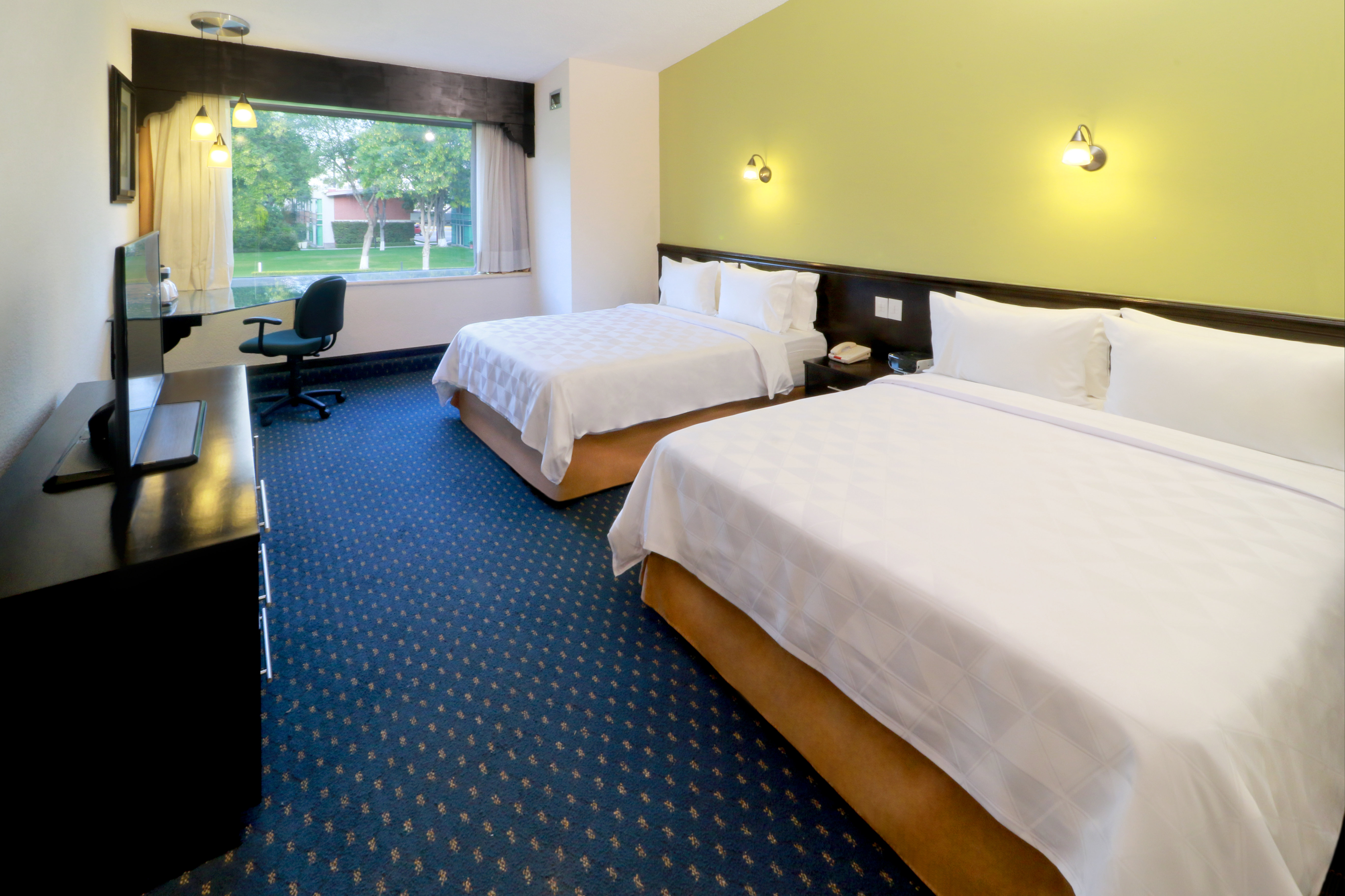 Holiday Inn San Luis Potosi-Quijote 13/50