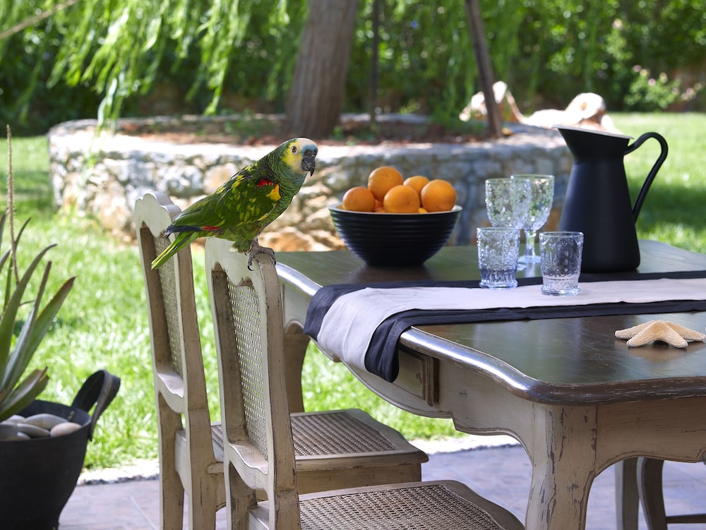 SunVillage Boutique Hotel 46/59