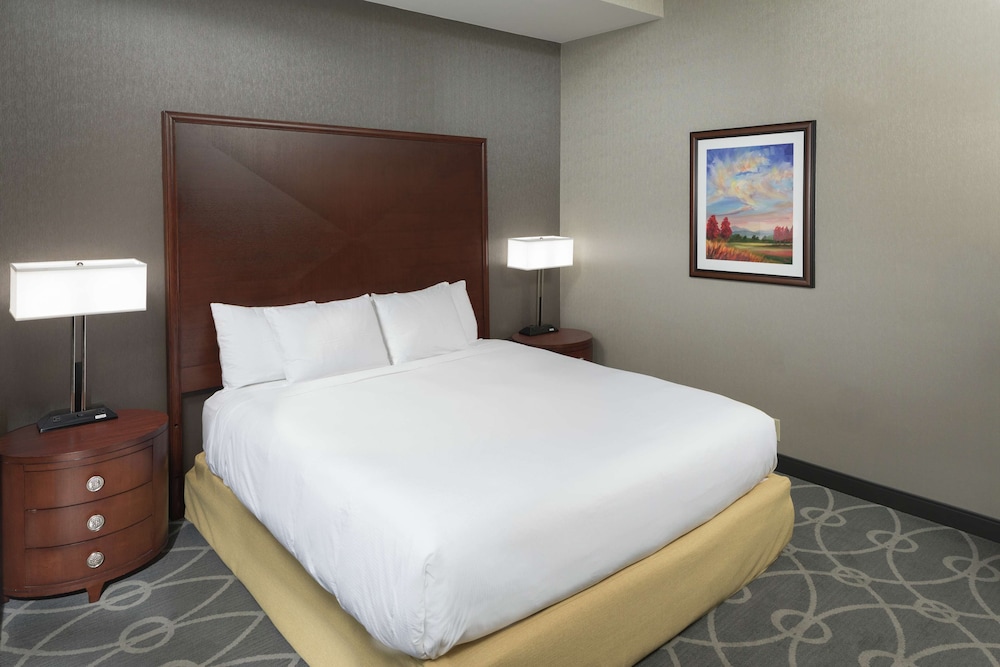DoubleTree by Hilton Hotel Asheville Biltmore 23/68