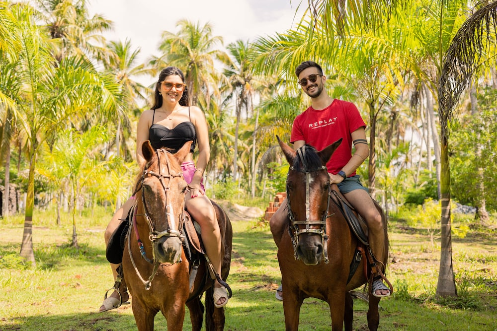 Pousada Paraiso dos Coqueirais 40/50