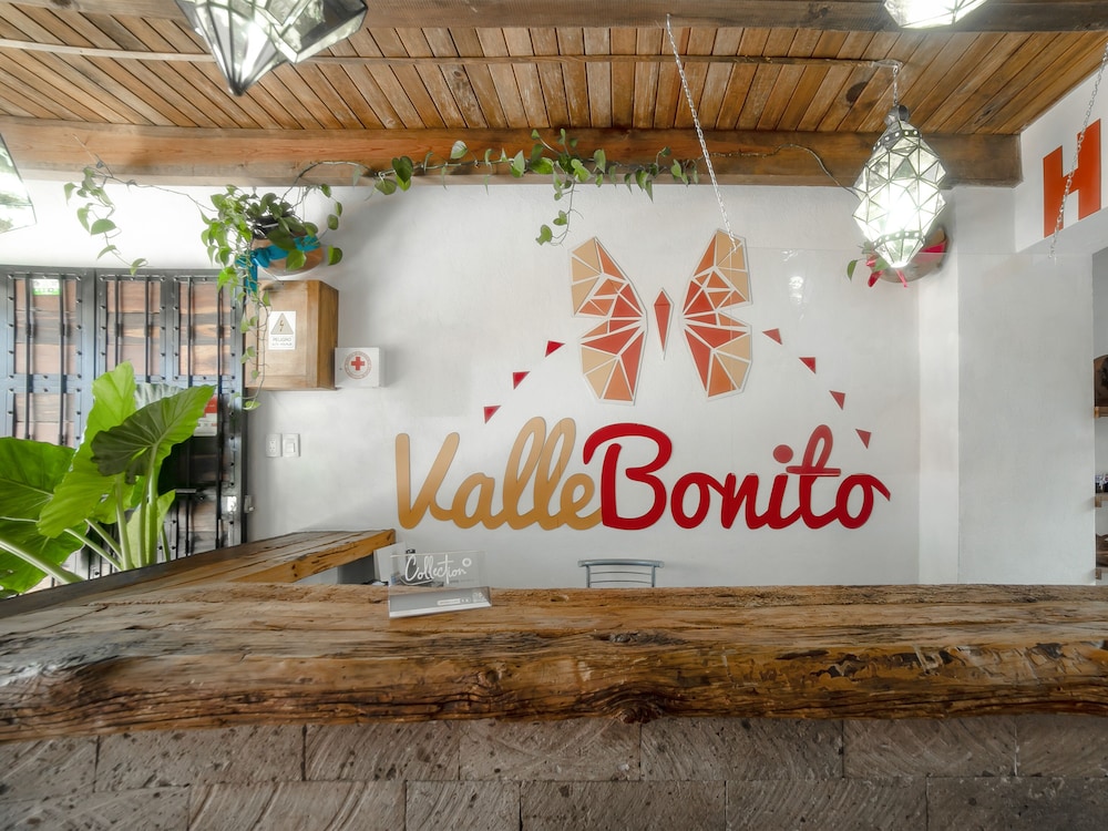 Hotel Valle Bonito, Valle de Bravo 9/38