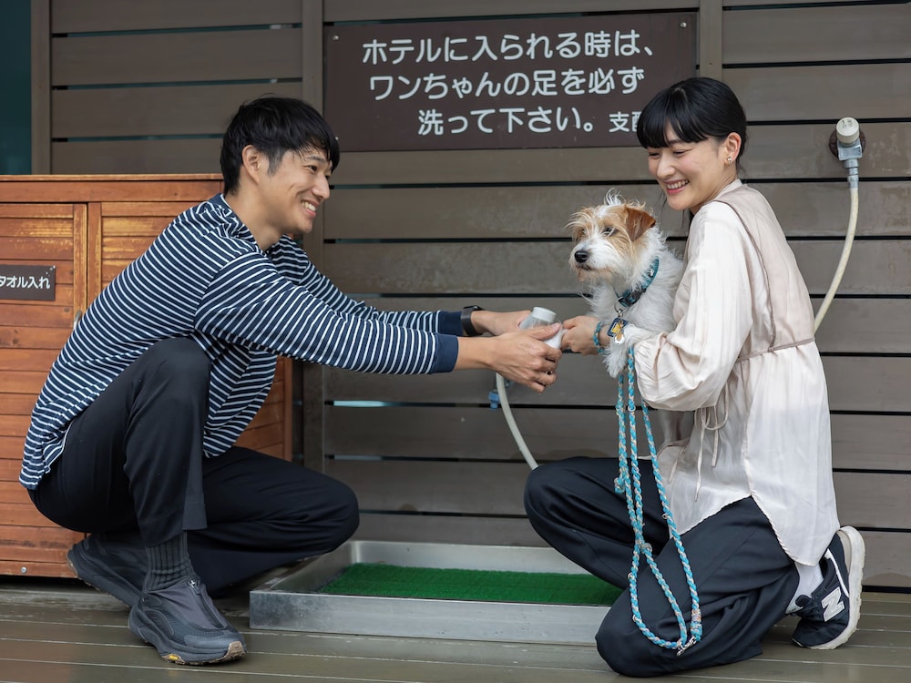 Izumigo Toba Dog Paradise Hotel 10/58