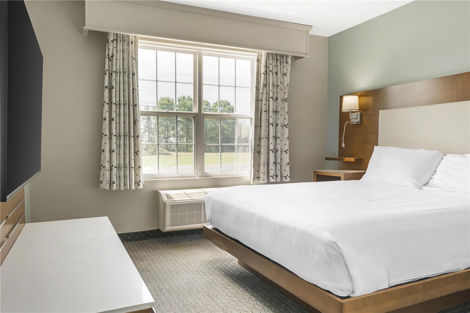 Junior Suite, Queen Bed, Sofa