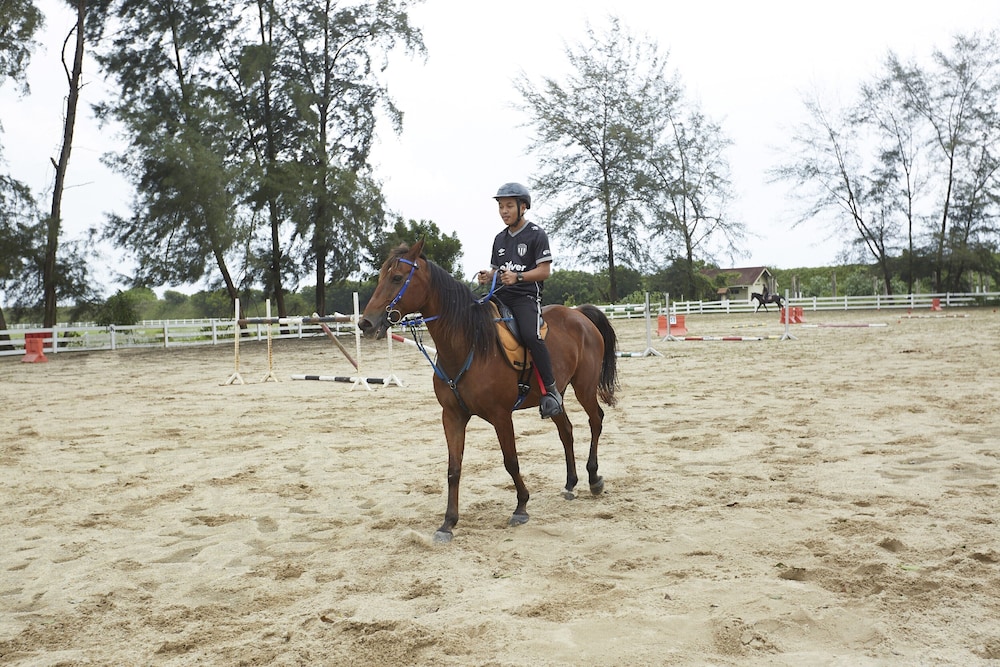 Terengganu Equestrian Resort 43/50