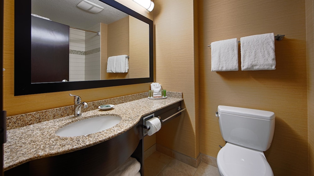 Best Western Plus Sherwood Park Inn and Suites 29/59