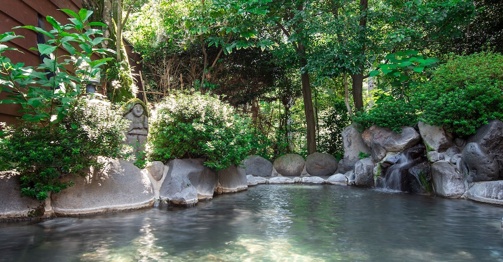 HOTEL KIRISHIMA CASTLE 31/66