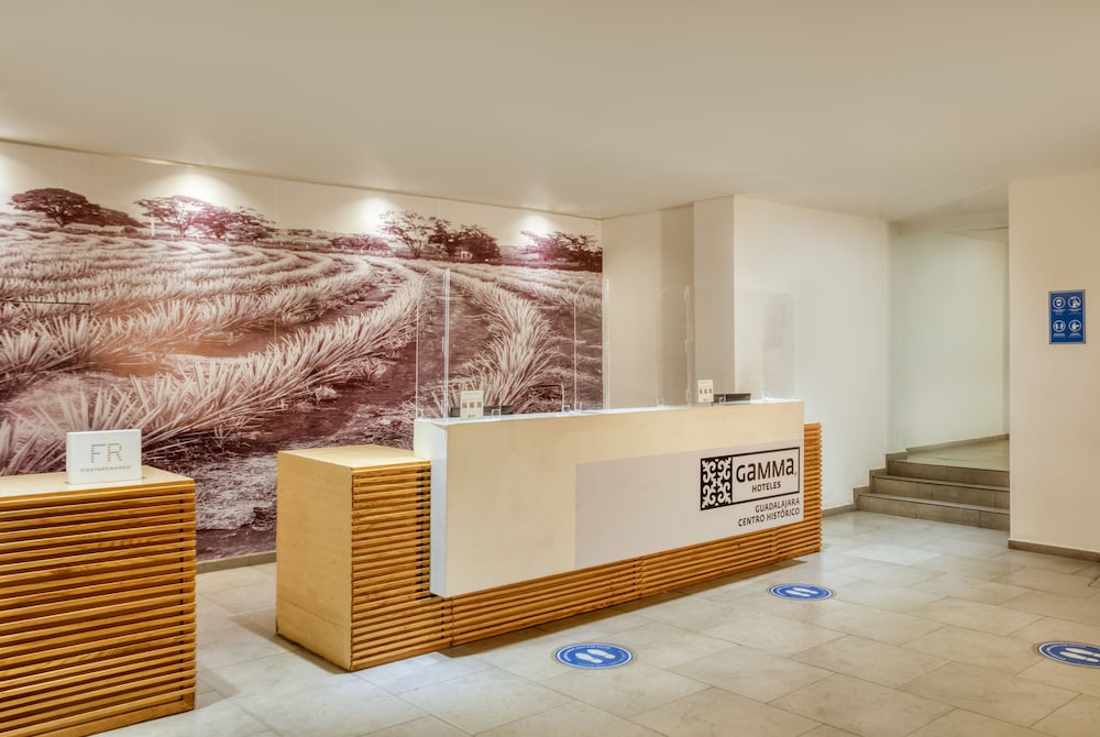 Hotel Plaza Genova Centro 7/58