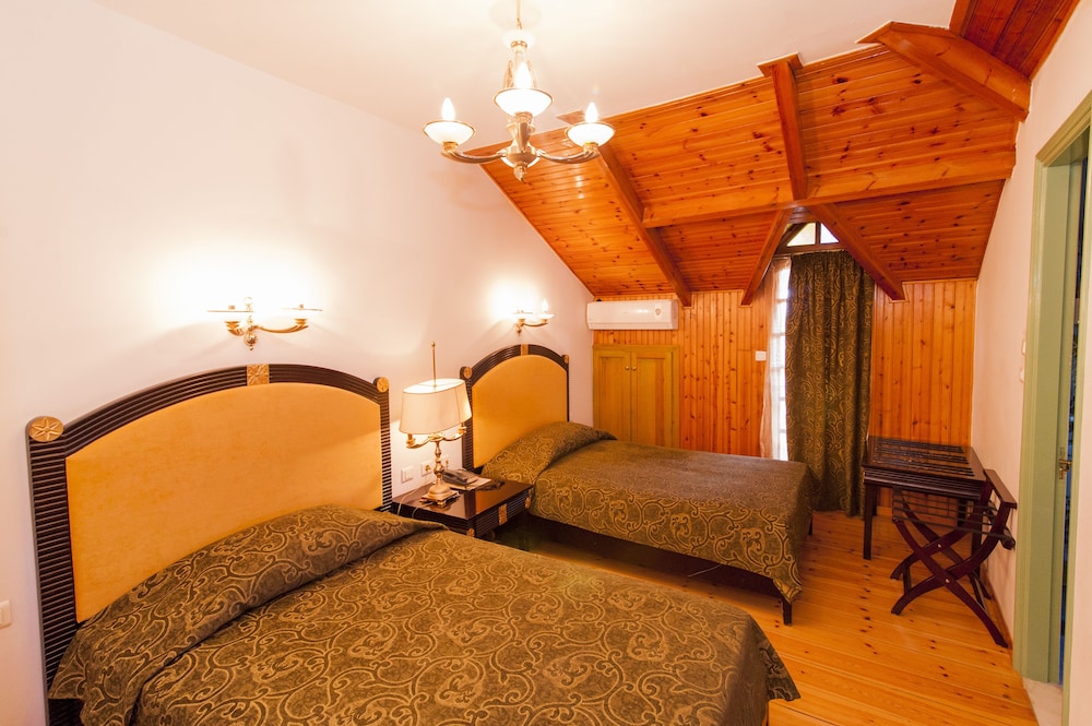 Krikonis Hotel Ioannina 21/50