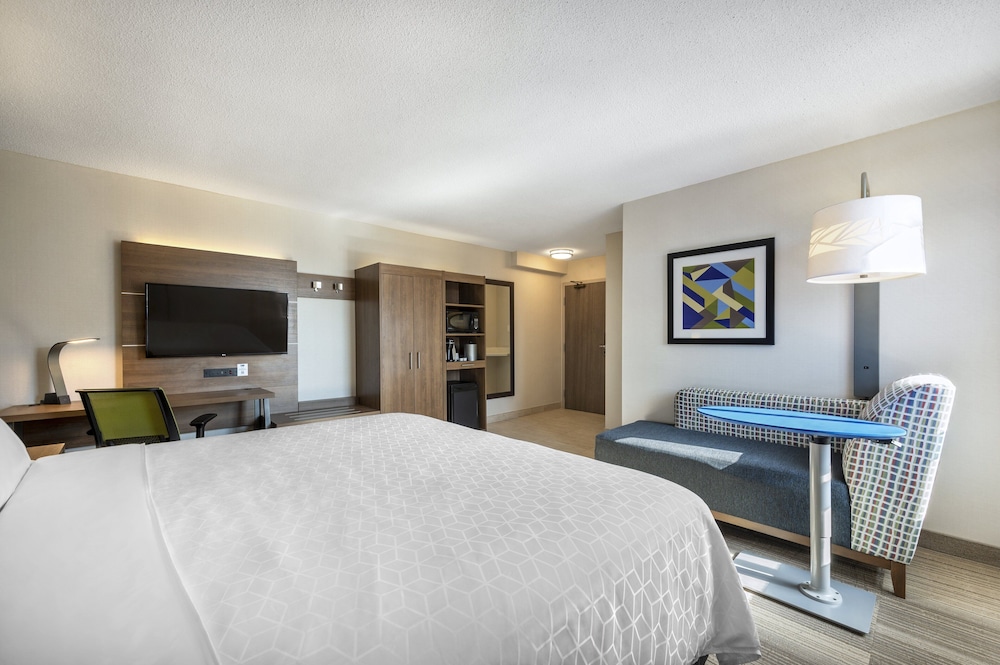 Holiday Inn Express Toronto Downtown 13/76