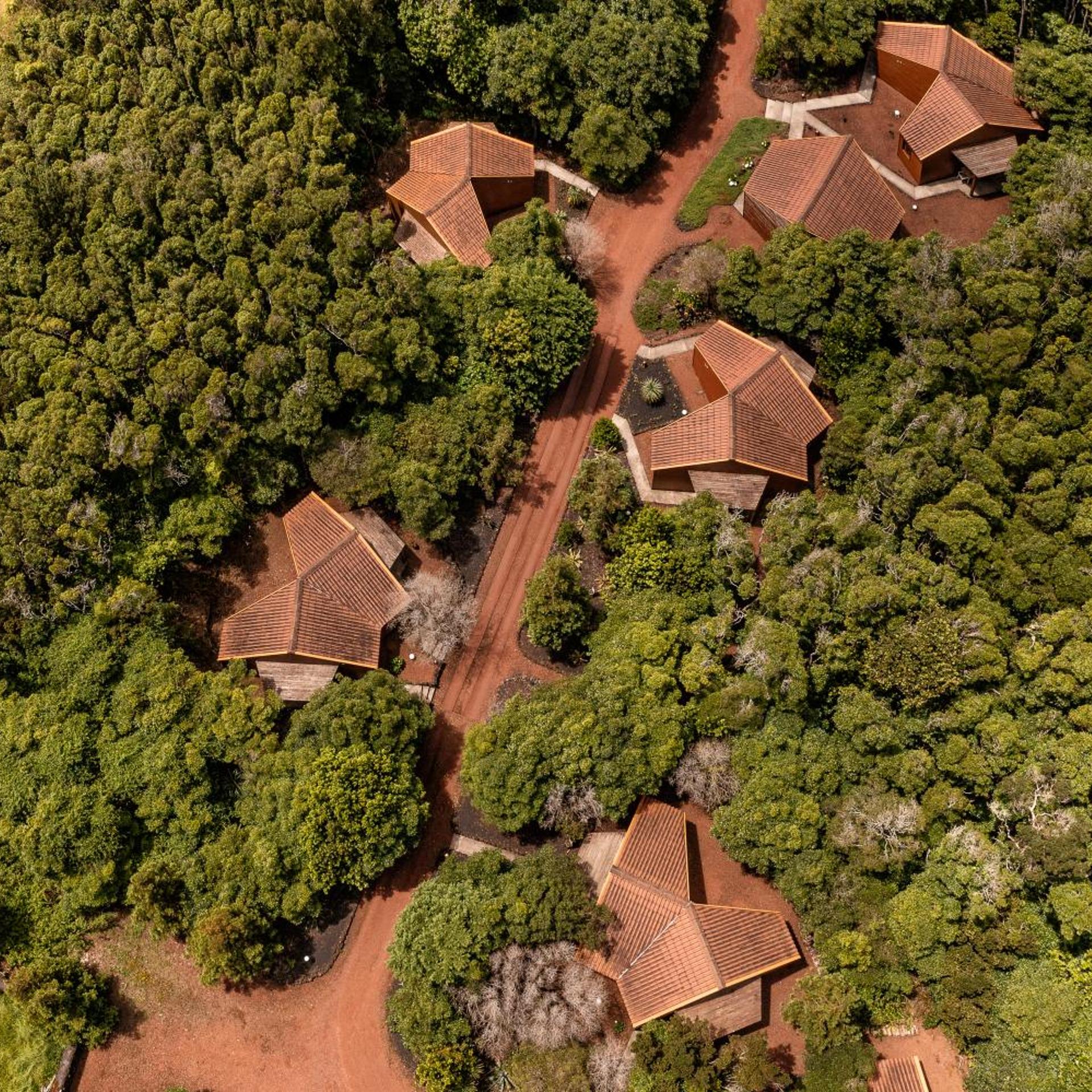 Alma do Pico 37/50