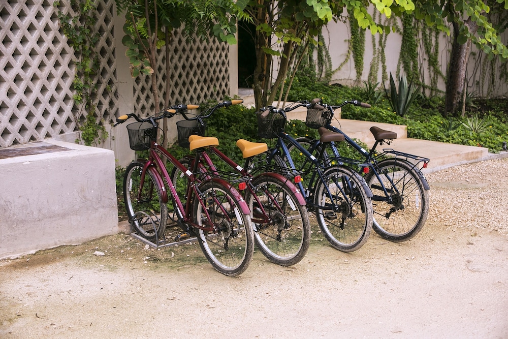 Alea Tulum 61/68