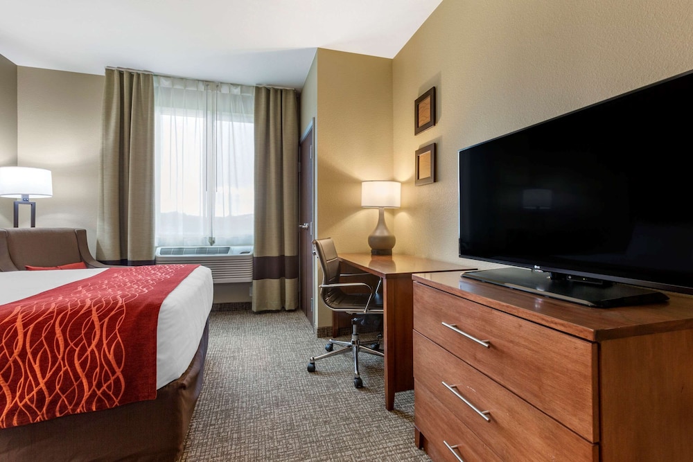 COMFORT INN & SUITES NEAR MT. RUSHMORE 31/34