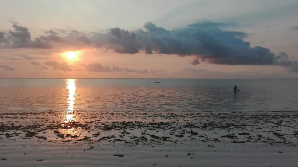 Zanzibar Dream Lodge 42/50