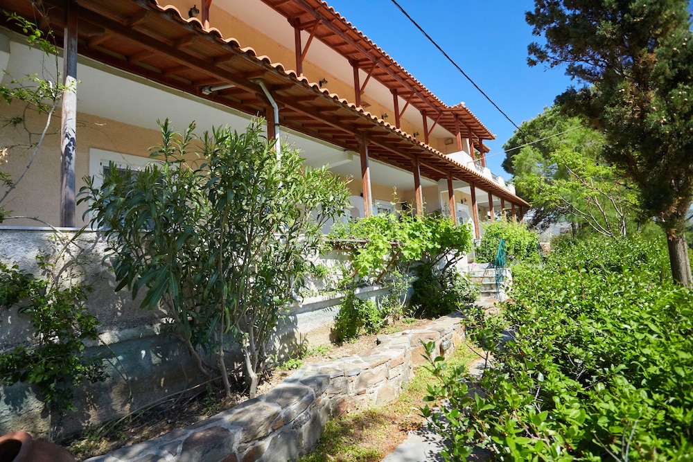 Zorbas Apartments 2/45
