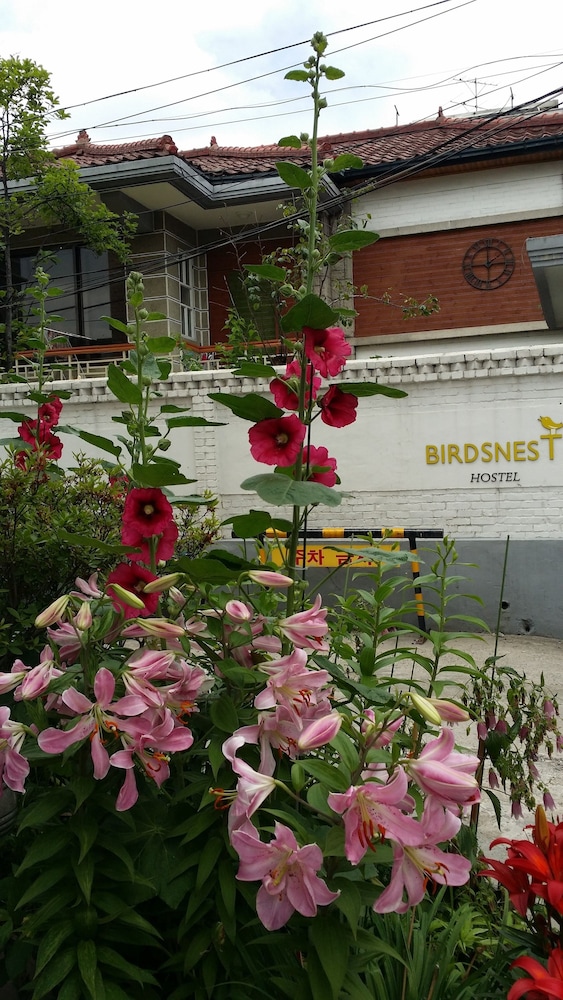 Birdsnest Hostel Hongdae 3/39