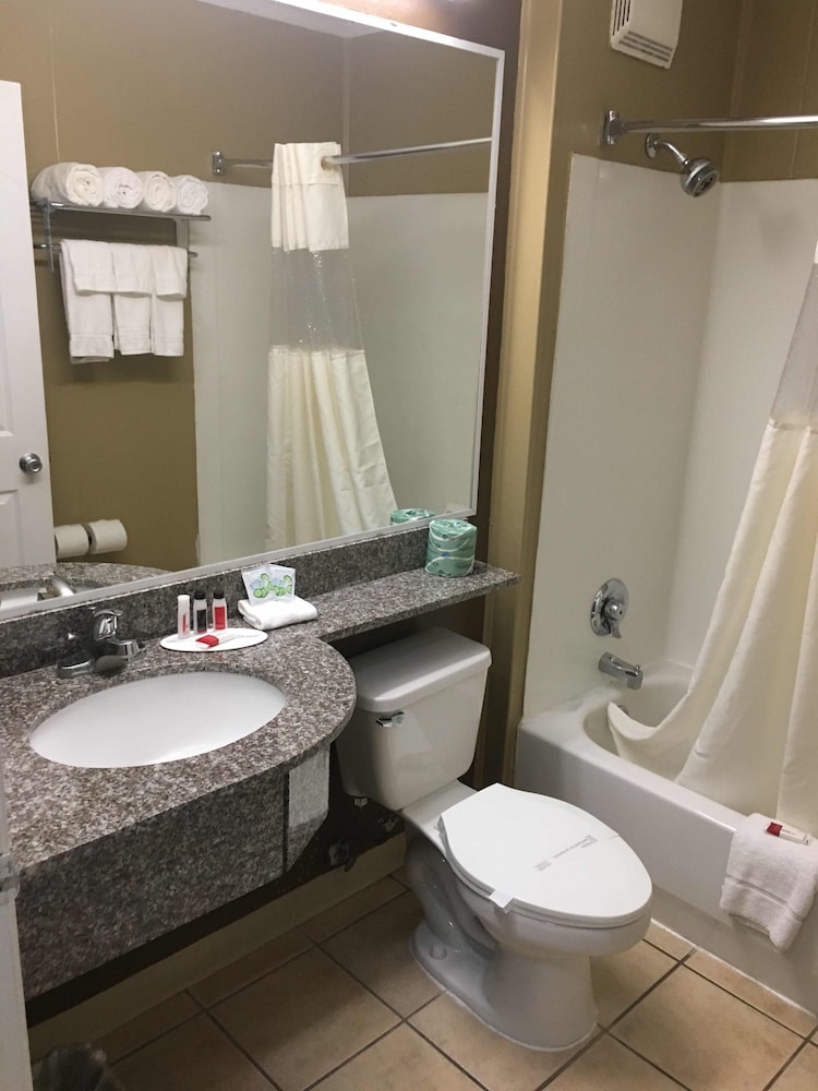 Microtel Inn & Suites by Wyndham Columbia/Fort Jackson N 17/37