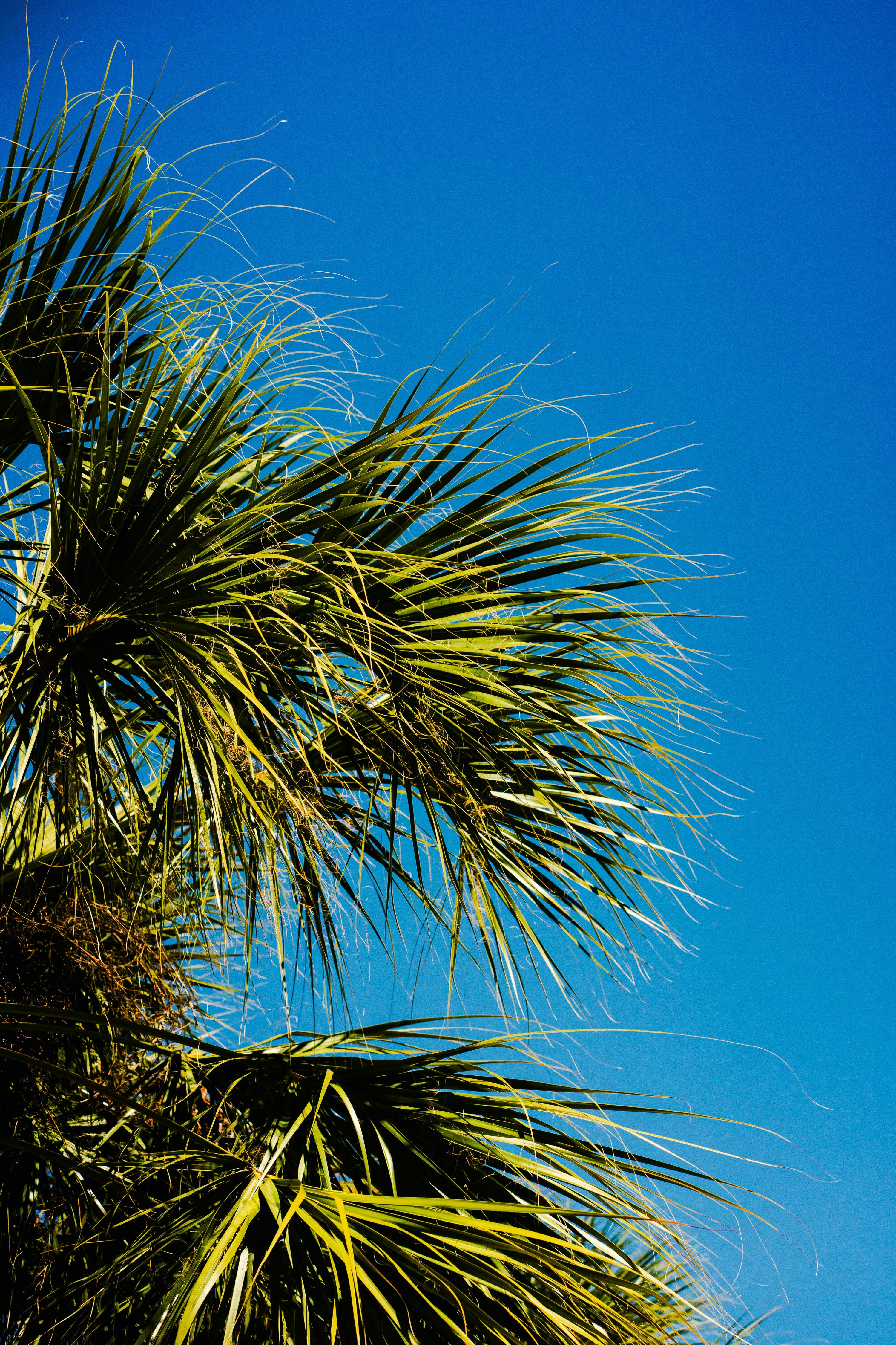 DoubleTree by Hilton Orlando Theme Park Resort 46/50