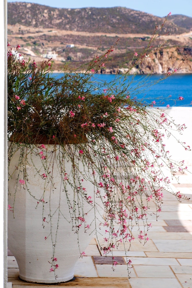 PATMOS PARADISE 22/36