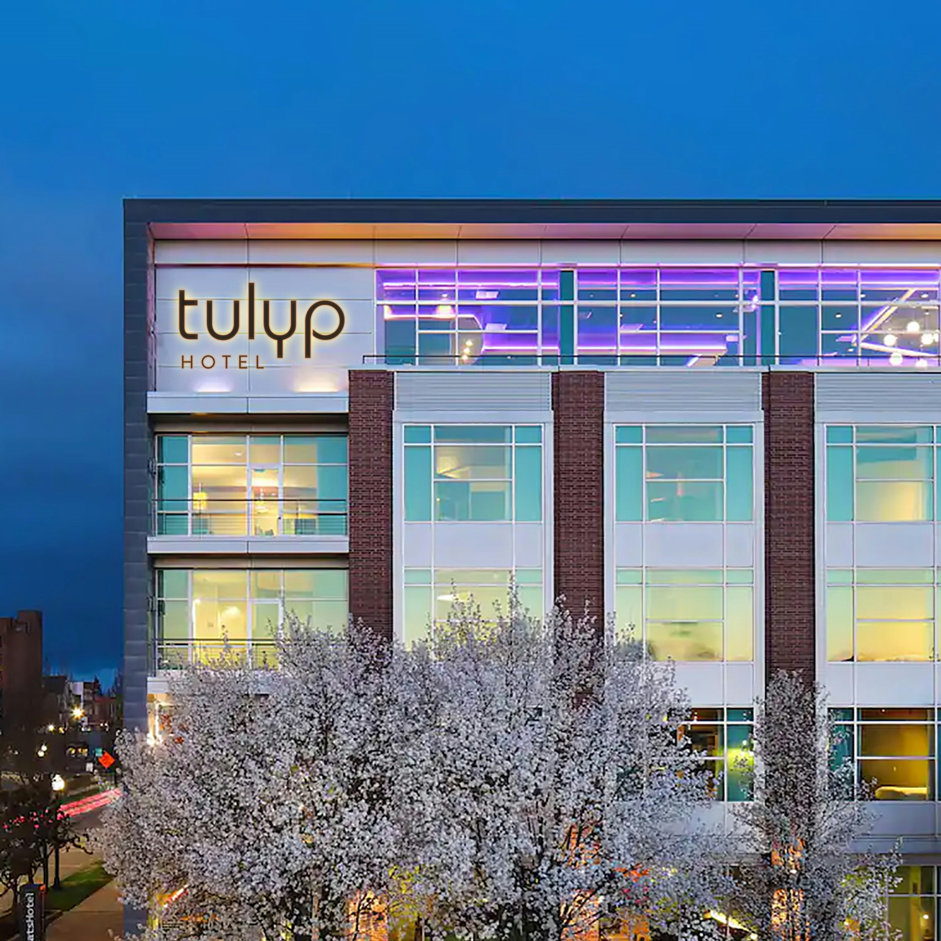 Tulyp, Tapestry Collection by Hilton 2/48