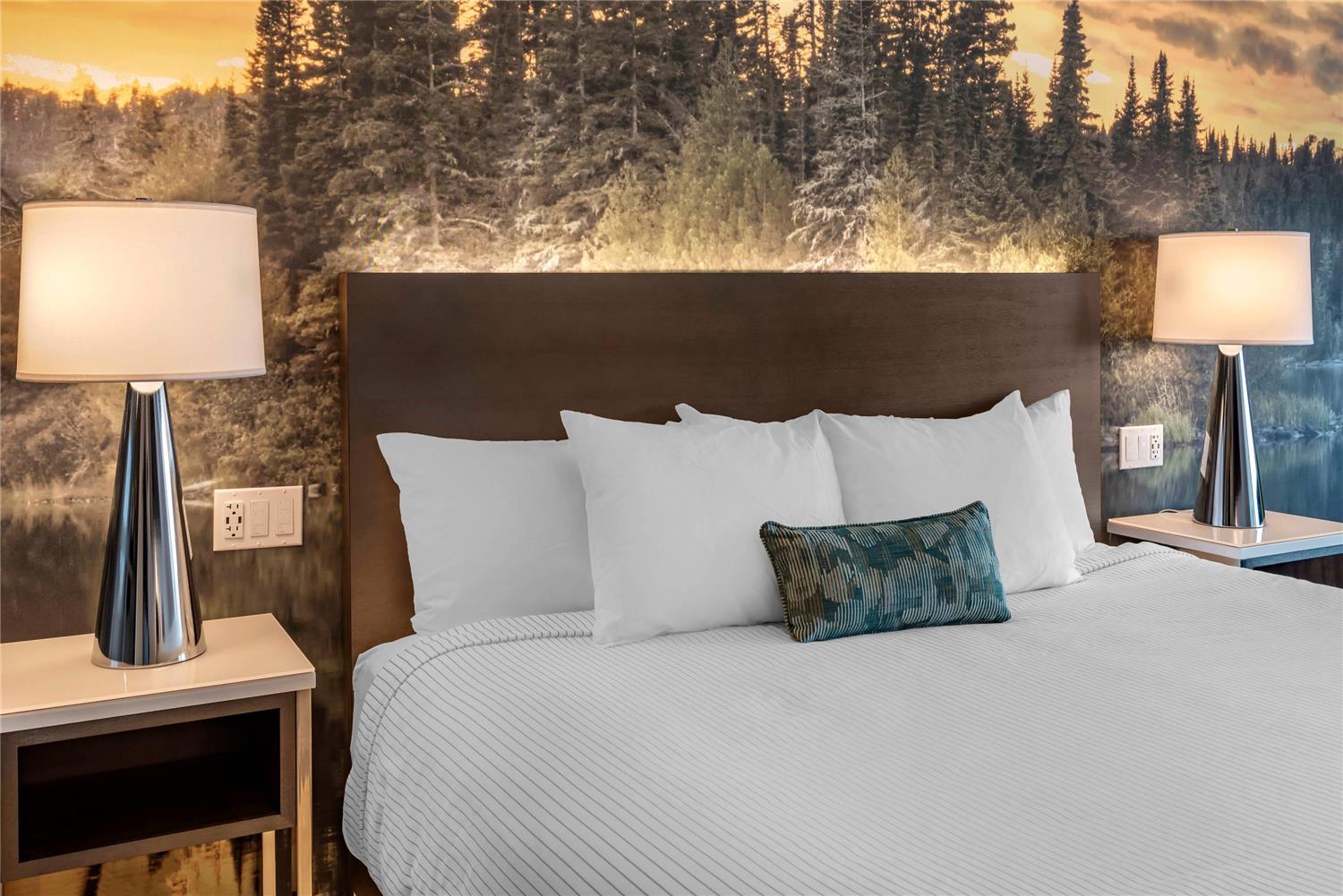Suite, King Bed