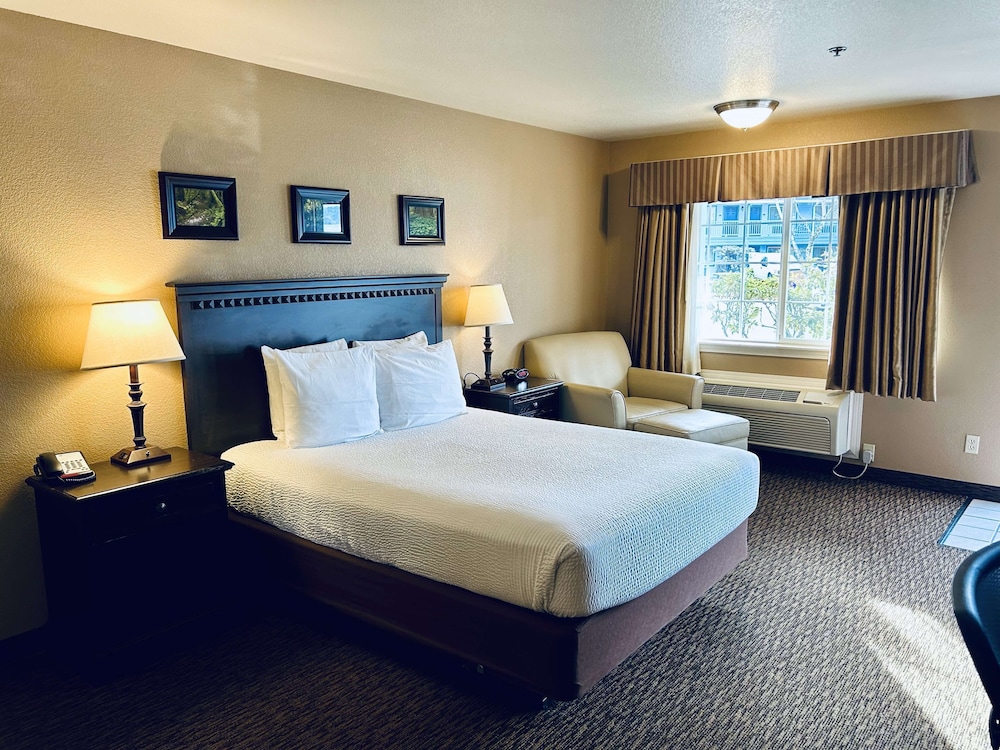 Standard, Queen Bed, Accessible