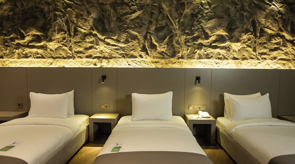 The Erzurum Hotel 19/50