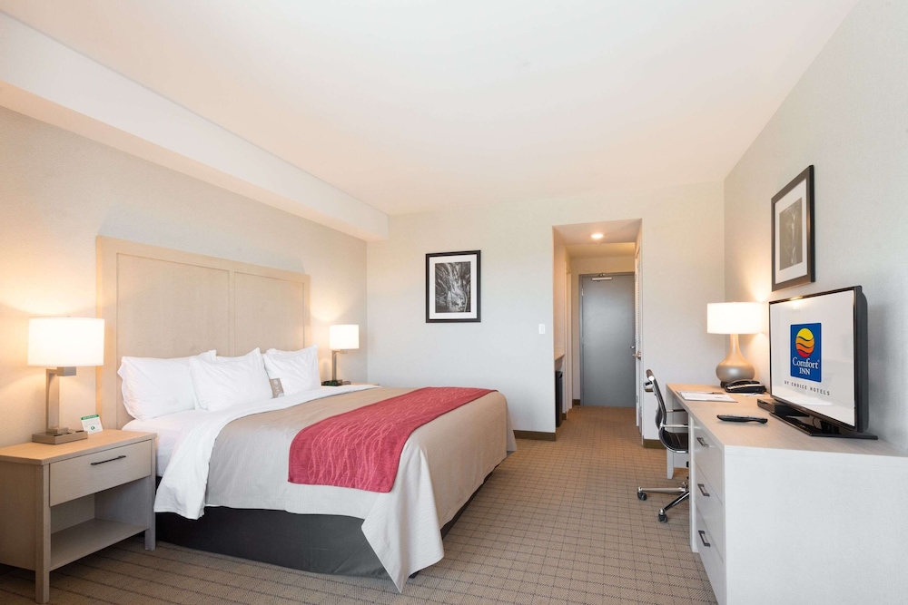 Comfort Inn & Suites Campbell River, BC 16/46