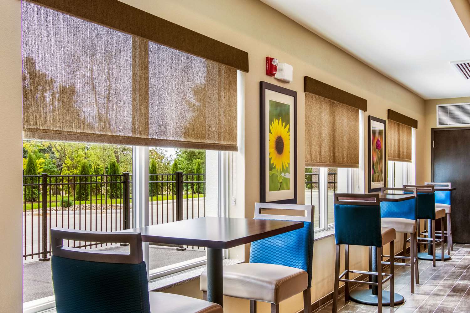 Comfort Suites Wooster near University Campus 45/54