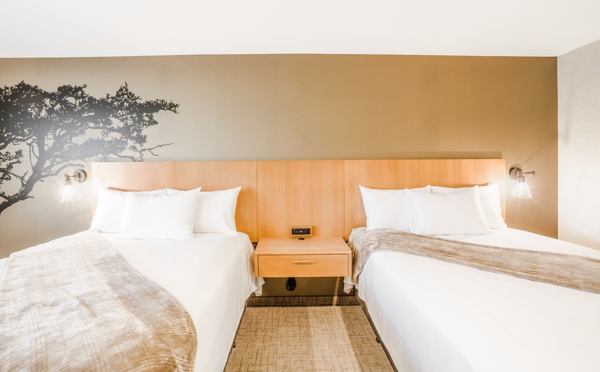 Elite, 2 Queen Beds, Desert View