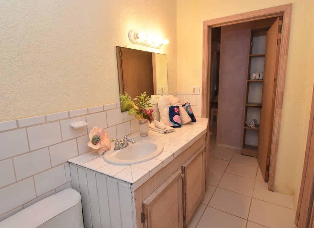 THE SUGAR APPLE BED AND BREAKFAST 46/50