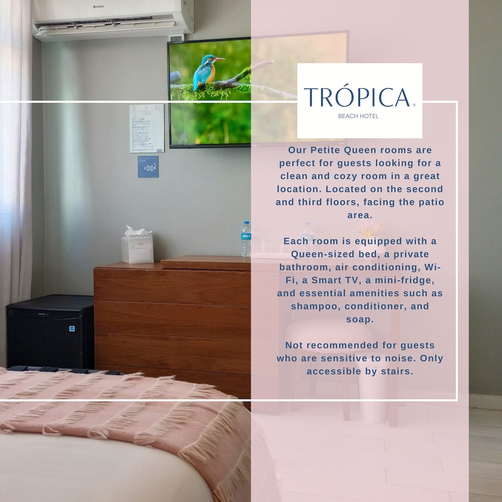 Tropica Beach Hotel 20/50