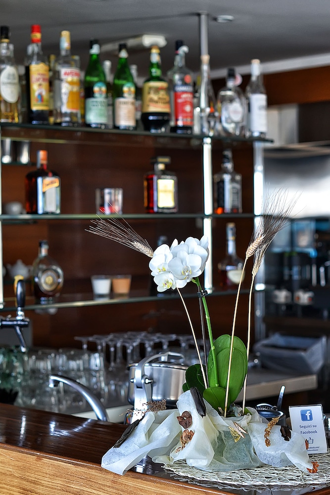 阿斯科特酒店(Hotel Ascot) 图片4
