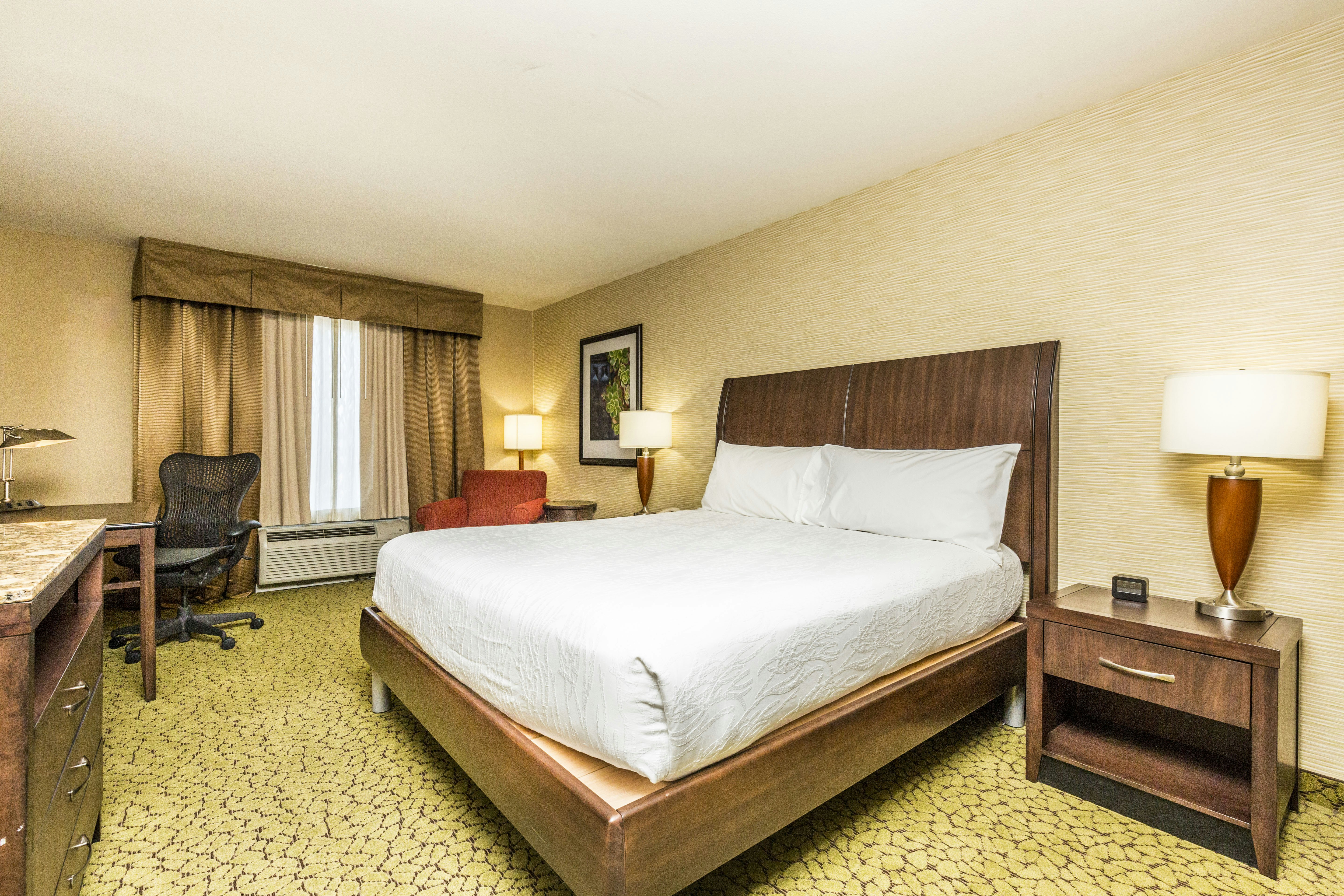 Room, King Bed